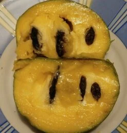 Veredelte Indianerbanane (Paw Paw) `Shenandoah®´ Asimina Triloba `Shenandoah´ -Obstgartenliebe Geschaft Indianerbanane von Innen5a0476156796c