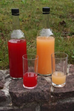 Rosette® Malus Domestica -Obstgartenliebe Geschaft Rosette Saft