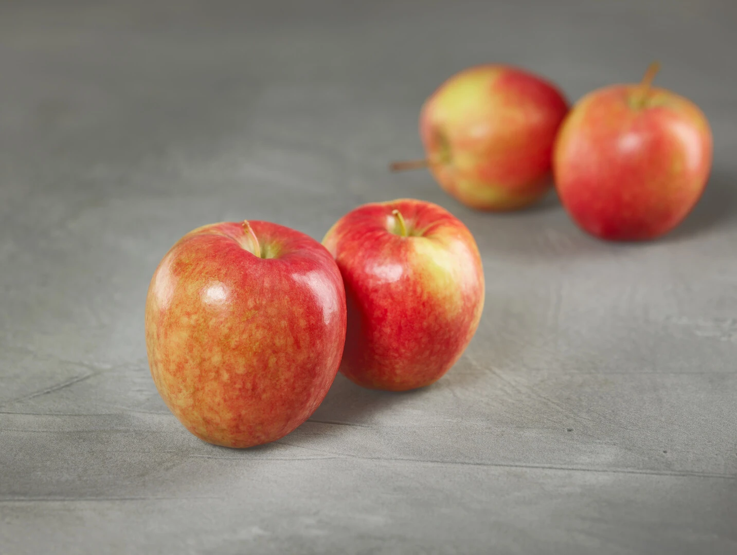 Rewena ® Malus Domestica 2 Rewena ® Malus Domestica – Bild 2