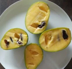 Obstgartenliebe Geschaft -Obstgartenliebe Geschaft indianerbanane frucht aufgeschnittengmEN4ZYFNT7IC