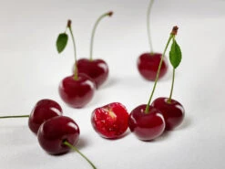 Achat Ⓢ Prunus Cerasus `Achat´ -Obstgartenliebe Geschaft sauerkirsche achat ggmc5Q8G1QL1D9