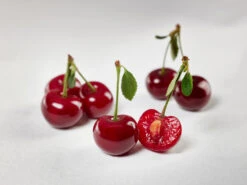 Safir ® Prunus Cerasus `Safir´ -Obstgartenliebe Geschaft sauerkirsche safir glCz99JjQsQ3RC